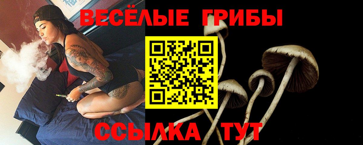 Галлюциногенные грибы мицелий  Вход с VPN  Ишим 