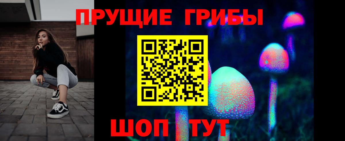 Псилоцибиновые грибы GOLDEN TEACHER Ишим